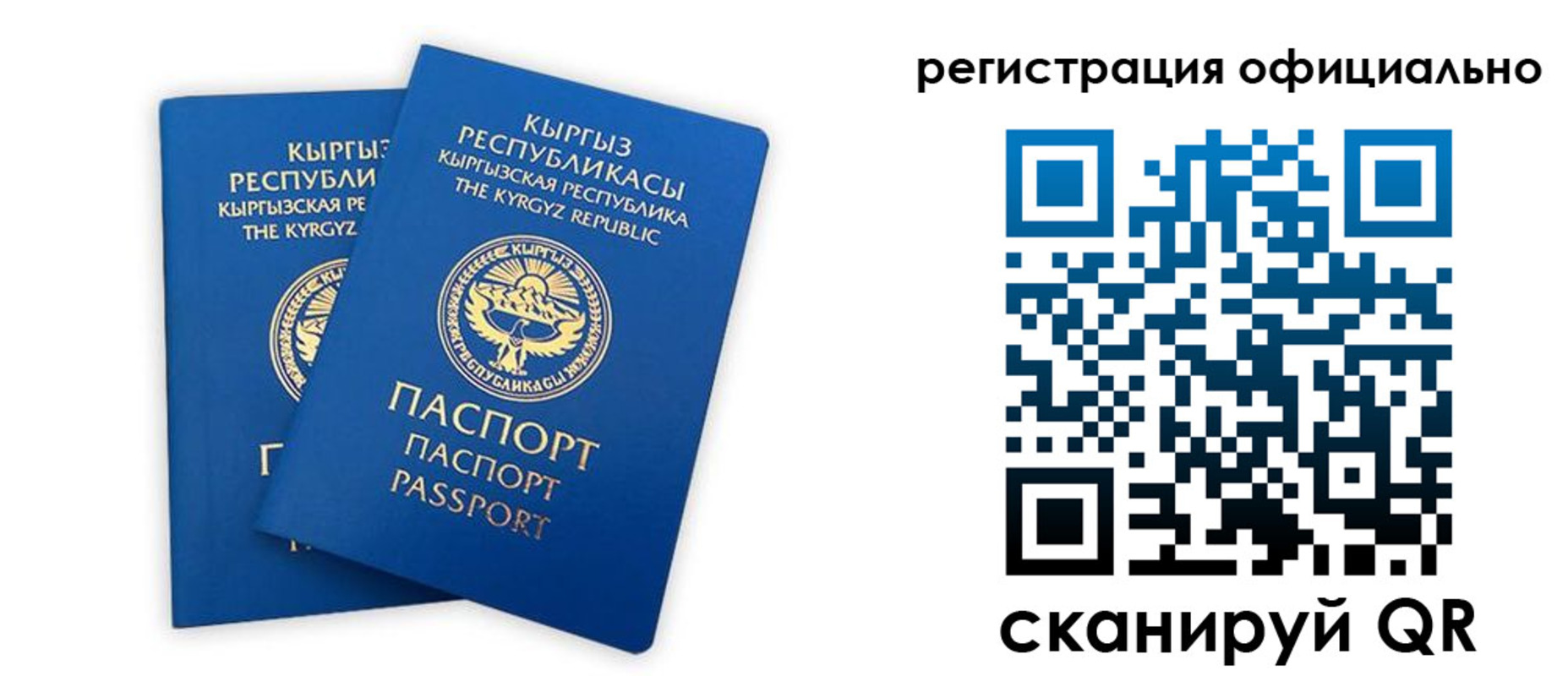 прописка поиск в Каменке